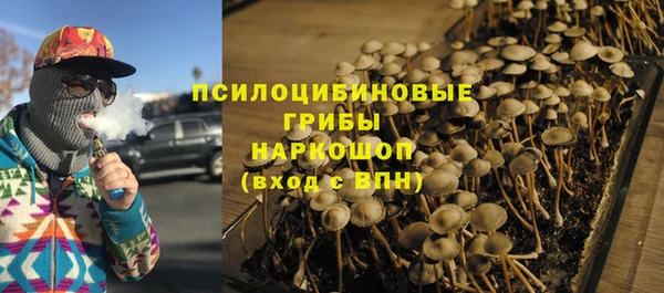 ешки Медногорск