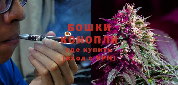 тгк Медвежьегорск