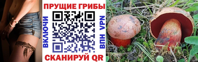 хочу наркоту  Цимлянск  Галлюциногенные грибы MAGIC MUSHROOMS 